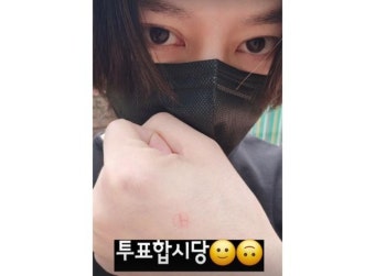 뉴진스 민지→임시완·기안84, 스타들의 투표 인증샷 릴레이