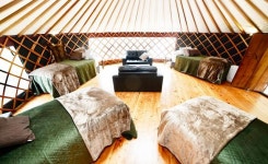 [이런 여행] 나막신, 도토리, 벌집… 한 번쯤 꿈꾸는 하나뿐인 집