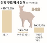 [단독] 산양 10마리 중 6마리 탈진해 굶어 죽었는데... 원인 규명조차 못하는 정부 [위기의 도심동물들]