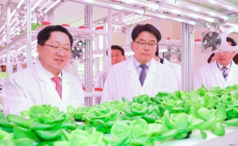 스마트팜으로 구도심 살린다… 대전 공실 이용한 스마트팜 잇단 개장