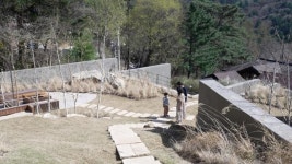양평 산비탈에 스테이 짓고 여행하듯 삽니다...40대 부부의 전원살이 도전기 [집 공간 사람]
