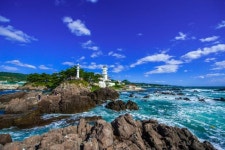 갬성 카페로 변신한 100년 목욕탕… 가자미 마을로 오는 청년들