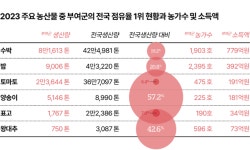 스무 해 성장한 굿뜨래… 부여군 먹여살리는 효자랍니다 [2024 중원르네상스]