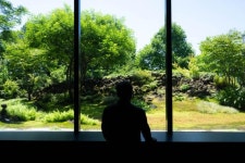 "베케는 돌무더기에서 싹을 틔웠다" 씨앗부터 키우는 정원사 [베테랑의 한끗]
