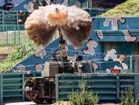 꽃게철 다가오는데… 해상사격훈련 재개에 백령·연평도 주민들 불안·허탈