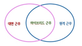 원희룡 언급한 꿈같은 주3일 하이브리드 근무제 뭐길래