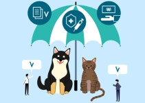 반려동물의 복지를 위한 펫 보험 [생명과 공존]