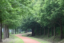 [느린 풍경] 천년을 건너 하늘을 걷다... 한반도 품은 호수 비경