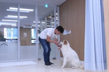 강아지의 사랑에는 차별이 없어요...서울 자치구 유일 동물매개치유 나선 서대문구