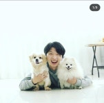 반려견 유치원 킨더퍼피, 반려인과 반려동물의 새로운 돌봄 서비스