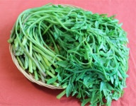 전주 십미(十味) 대표 음식, 콩나물·미나리