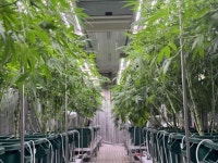 [스타트업 리포트] 위기의 농업, 에어돔으로 되살린다 스마트농장 뒤집은 권미진 애그유니 대표