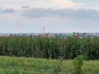 늘 푸른 몽골? 77% 사막화... 영수증 아껴 한국 황사 원인 막는다