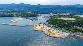 호텔, 케이블카에 대교까지… 대게항 영덕 강구항의 대변신