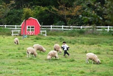 [느린 풍경] 운무 밀친 일출, 벼랑 타는 단풍… 새벽 댓바람에 그 산에 오른 이유