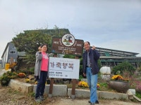 과도한 농장일  벗어나니 행복 두 배 경기도 낙농산업 위기 넘는다
