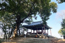 [느린 풍경] 백마강 건너 또 하나의 백제… 새 이야기를 부여하다