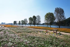 [느린 풍경] 백마강 건너 또 하나의 백제… 새 이야기를 부여하다