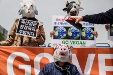 채식이 다가 아냐··· 기후변화 막으려면 국내산 집밥으로