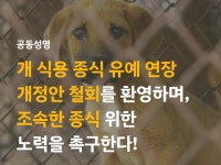 개 식용 금지 유예 연장안 나흘 만에 철회… 동물단체 조속한 종식 촉구