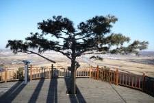 백두산 설경 즐기고... 푸른 솔 뿌리내린 일송정까지 [박준규의 기차여행, 버스여행]