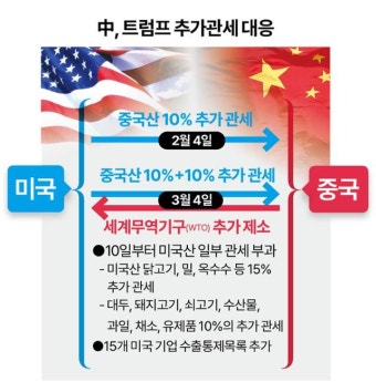 관세전쟁 속 머스크와 시진핑, 트럼프 대통령의 입장은?