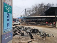 영덕 송이 산지도 잿더미... 농민들 마음도 시커멓게 타버렸다