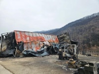 영덕 송이 산지도 잿더미... 농민들 마음도 시커멓게 타버렸다