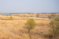 100년 전 일제가 수탈한 쌀 날랐던 그 길에서 벚꽃 라이딩 [요즘 여행]