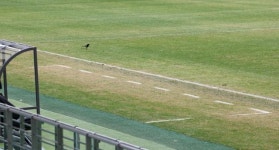 월드컵경기장 논두렁 잔디에... 전국 축구장 머리 맞댄다