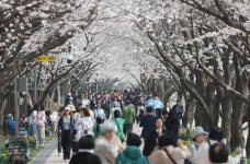 6·3 장미 대선 D-51… 8년 전과 무엇이 같고, 무엇이 다를까?