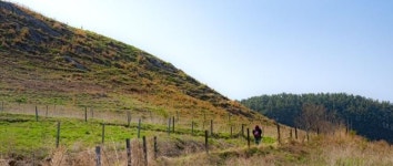 [인생 한 컷] 산티아고 순례길?... 충남 서산에도 있다