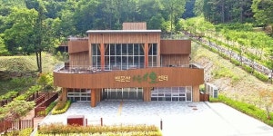 광양 백운산 치유의 숲  2025 전남 유니크 베뉴 선정