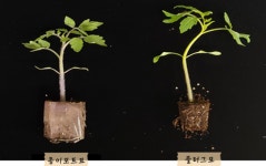 나무의 도시 경산, 종묘산업특구에 친환경 종이포트 제조설비 지원
