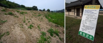 쉼터 조성한다고 쉼터를 베어냈다 [하상윤의 멈칫]