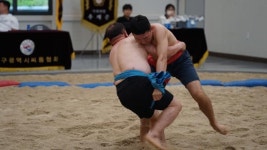 우리 동네 모래판 주인공 누구... 북구 씨름왕 선발대회 열기