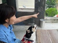 강아지와 어린 개는 다르다···소설가의 반려견 이야기 [인터뷰]