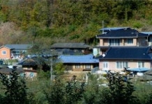 돌아온 이들 반기던 깊은 산골… 화마로 고향의 꿈이 흩어졌다