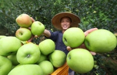 위임 과정 속 진통은 계속...통상 당국 협상안 들고 미국 가나