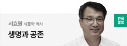 속이 꽉 찬 여름 배추의 위기 [생명과 공존]