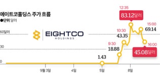 하룻밤에 3000% 상승?…서학개미 밈주식 주의보