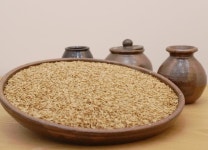 강진이 빚은 건강의 두 보물…쌀귀리와 묵은지