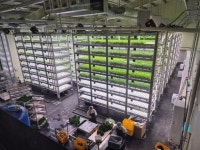 건물 안에서 농작물 키워요 장수군, 전국 최초 공공 수직농장 눈길