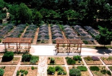 일제강점기 시험림부터 약초원까지…요즘 주목할 이색 수목원 3곳