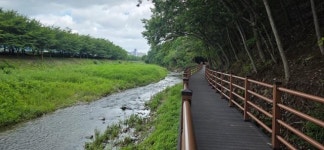 거제 고현천 산책로 개방, 시민 위한 숲길과 데크 길 완공