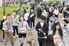 댕댕이와 행복하개! 제2회 동행페스타, 건전한 반려문화 알렸다