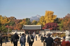 종묘 앞에 꼭 초고층 빌딩 지어야 하나 [뉴스룸에서]