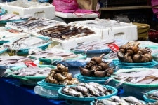 제철 활어, 어디 가서 맛볼까… 동해안 시장 가이드 [요즘 여행]