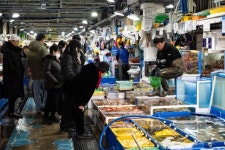제철 활어, 어디 가서 맛볼까… 동해안 시장 가이드 [요즘 여행]