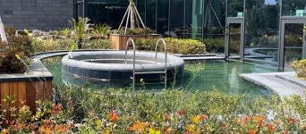 도고온천 멀다면? 전국 9곳뿐인 보양온천 또 어디 있나